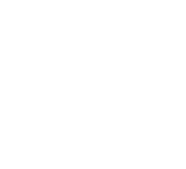 Hirschmann Automotive